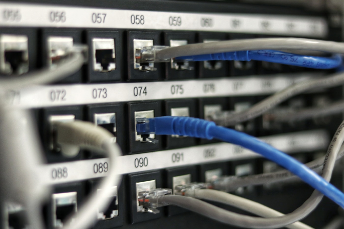 Nätverkspanel med kopplade ethernetkablar i fastighet